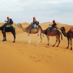 The Sahara Desert crew